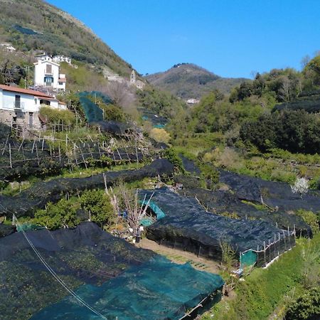 Antica Cartiera Sant'Elia Daire Tramonti Dış mekan fotoğraf