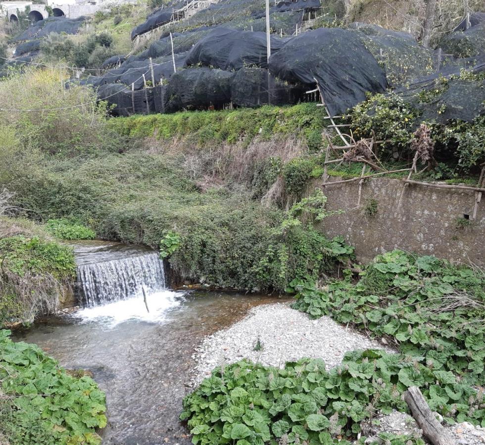 Antica Cartiera Sant'Elia Daire Tramonti Dış mekan fotoğraf