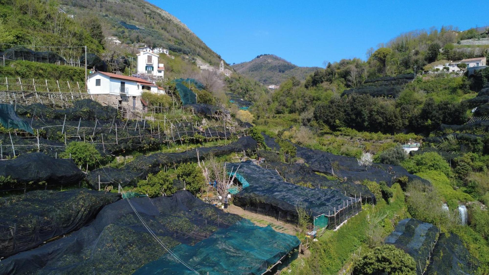 Antica Cartiera Sant'Elia Daire Tramonti Dış mekan fotoğraf