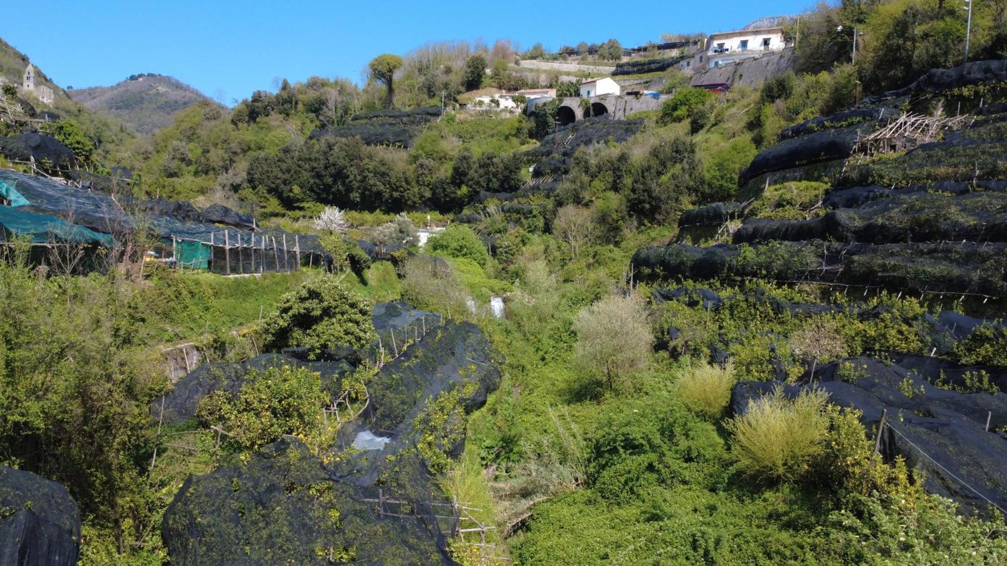 Antica Cartiera Sant'Elia Daire Tramonti Dış mekan fotoğraf