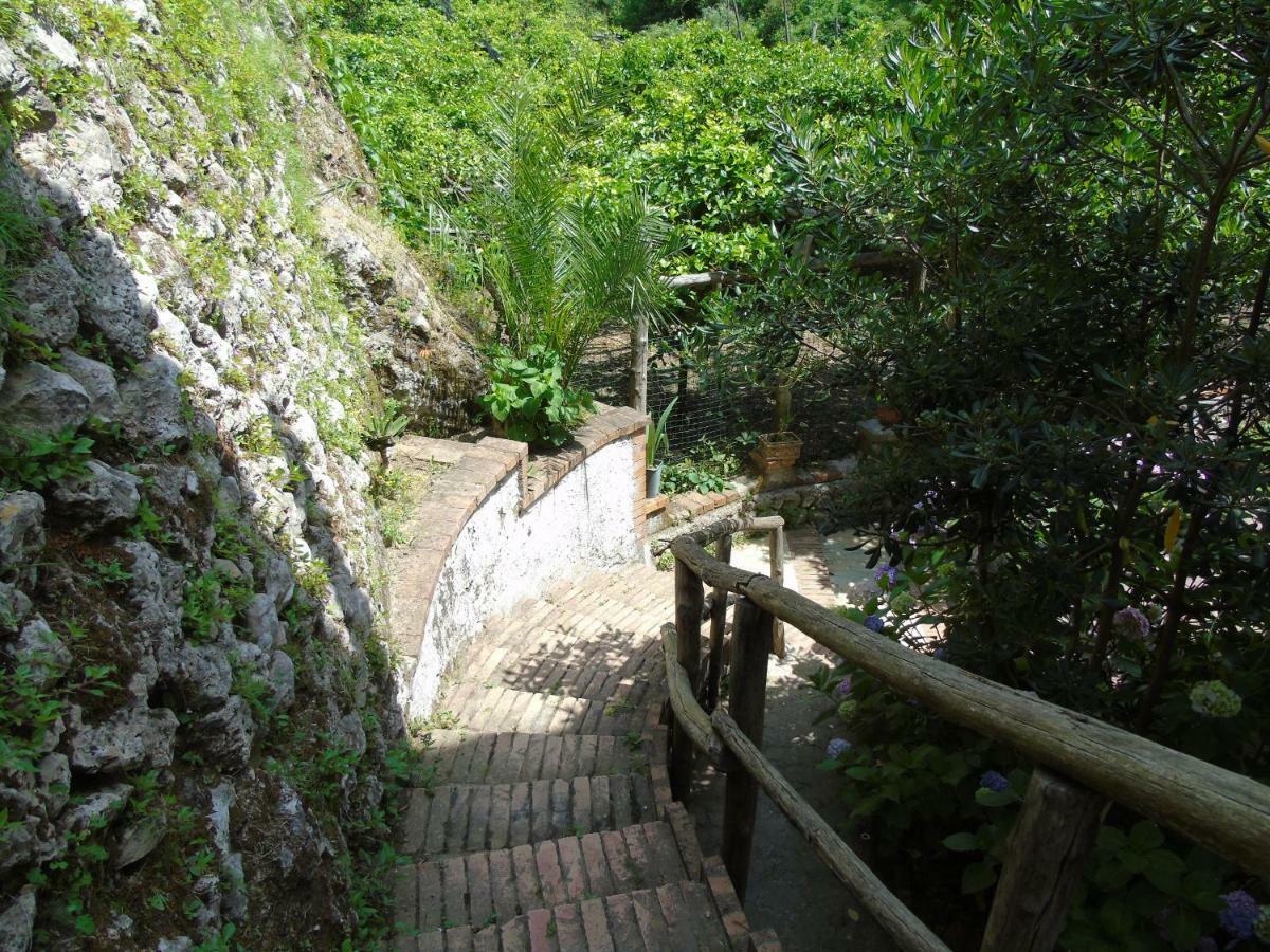 Antica Cartiera Sant'Elia Daire Tramonti Dış mekan fotoğraf