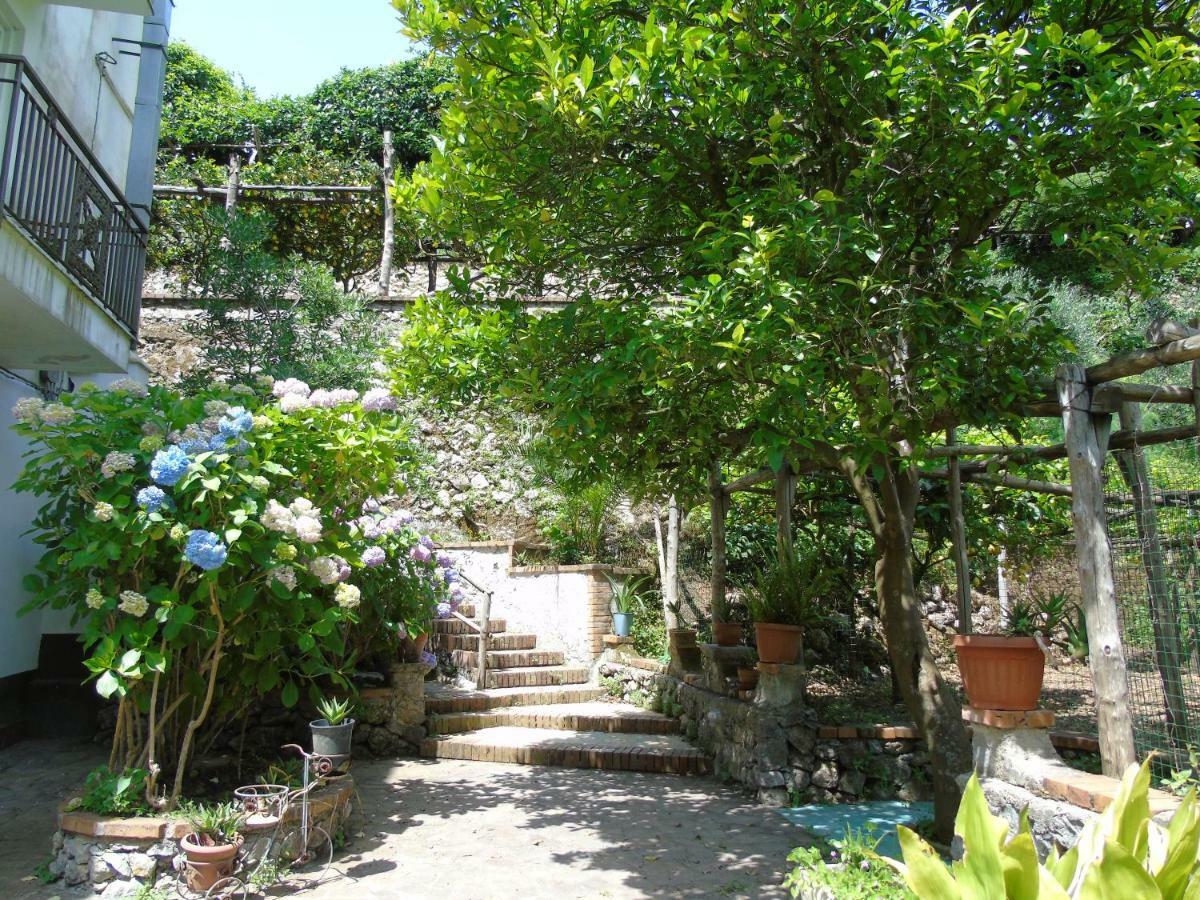 Antica Cartiera Sant'Elia Daire Tramonti Dış mekan fotoğraf