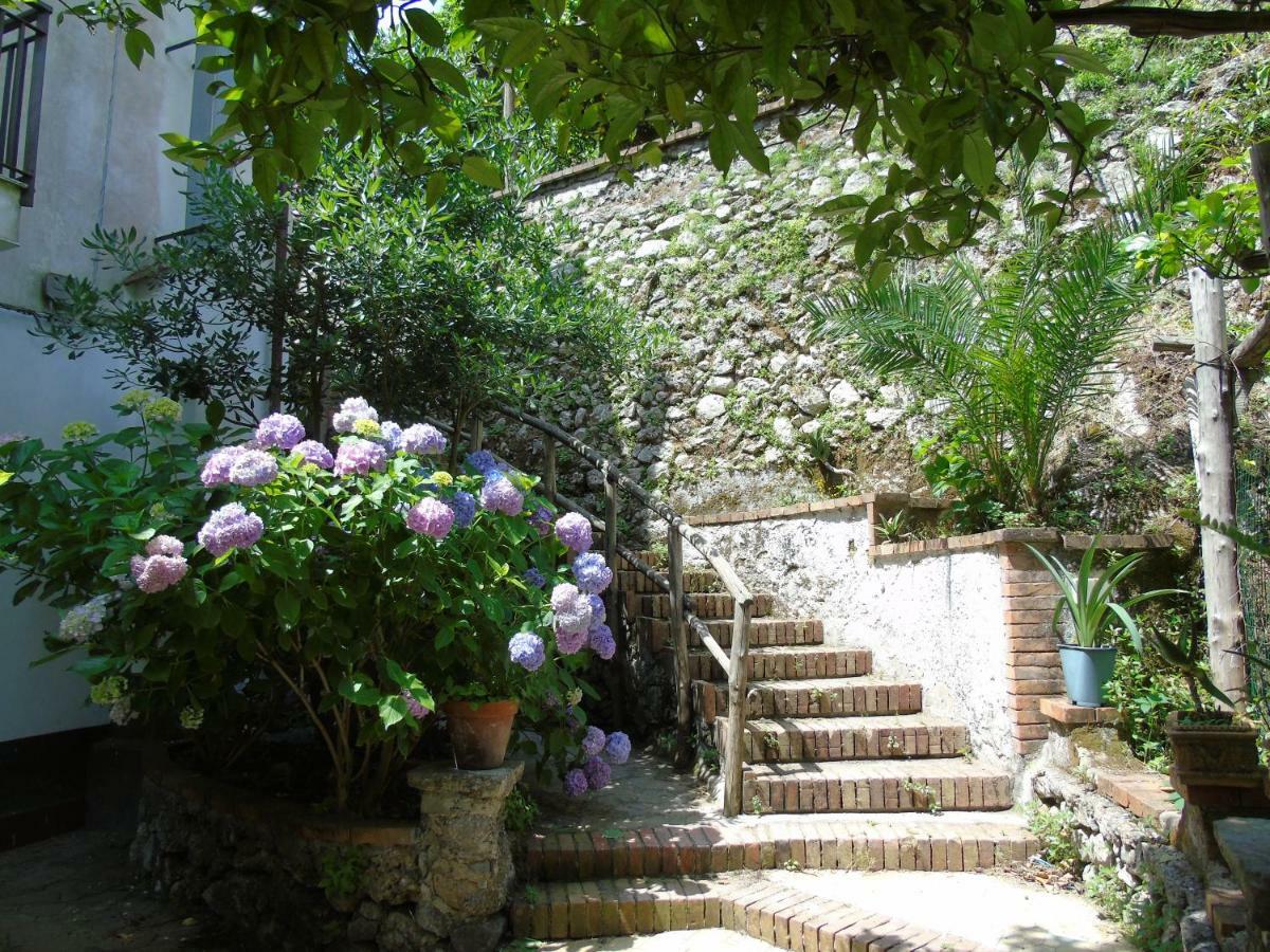 Antica Cartiera Sant'Elia Daire Tramonti Dış mekan fotoğraf